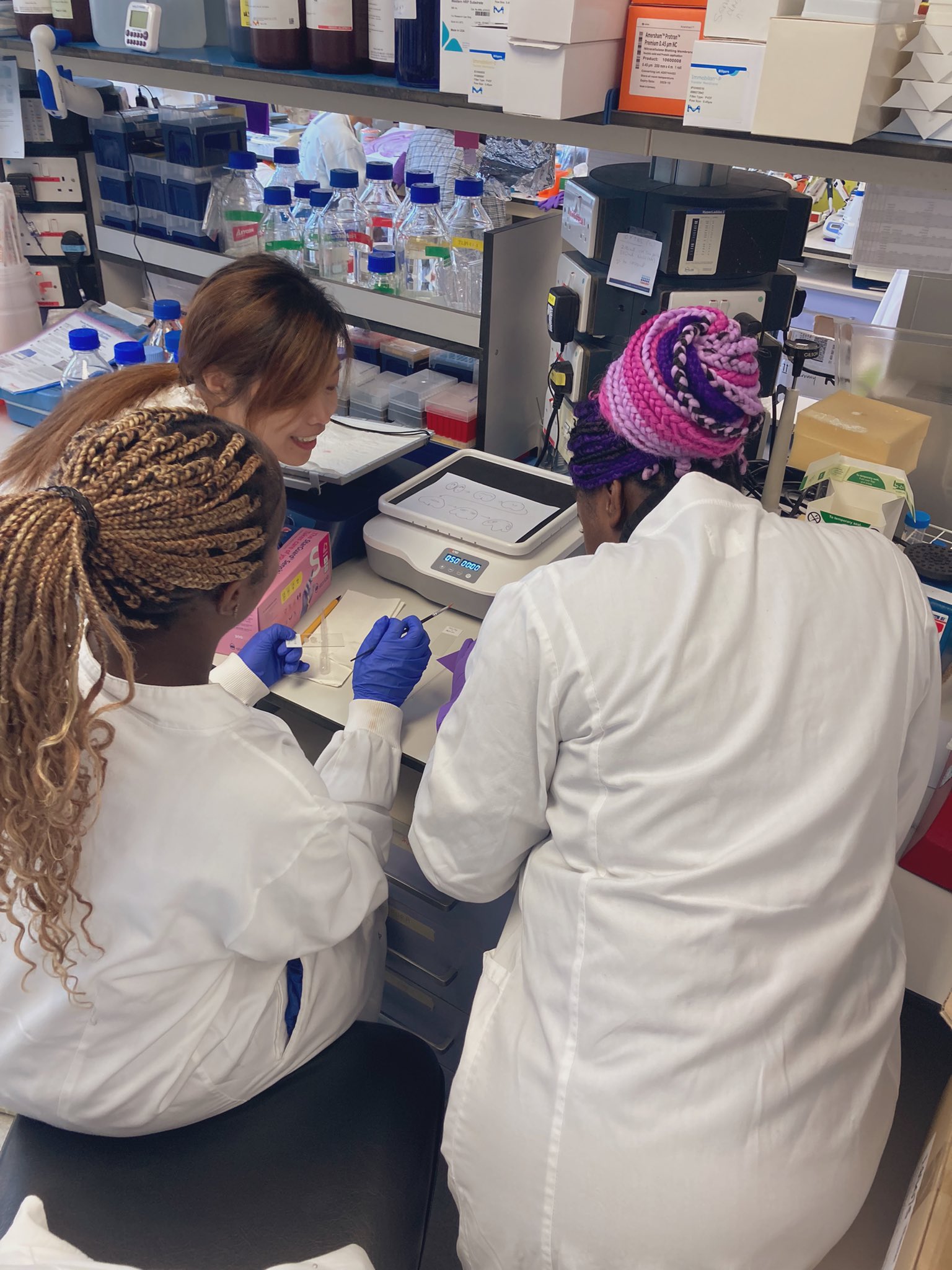 young scientists in the lab