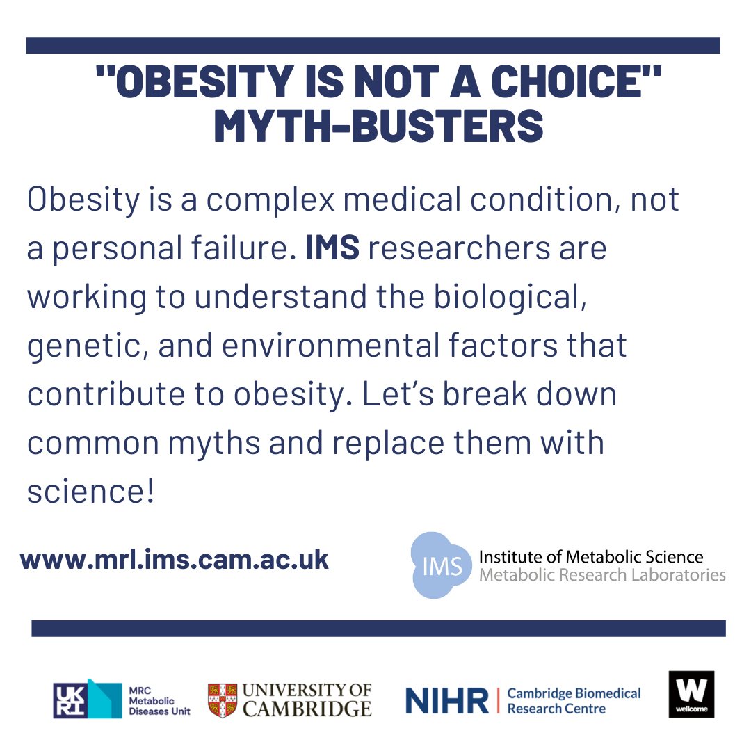 obesity myth intro image