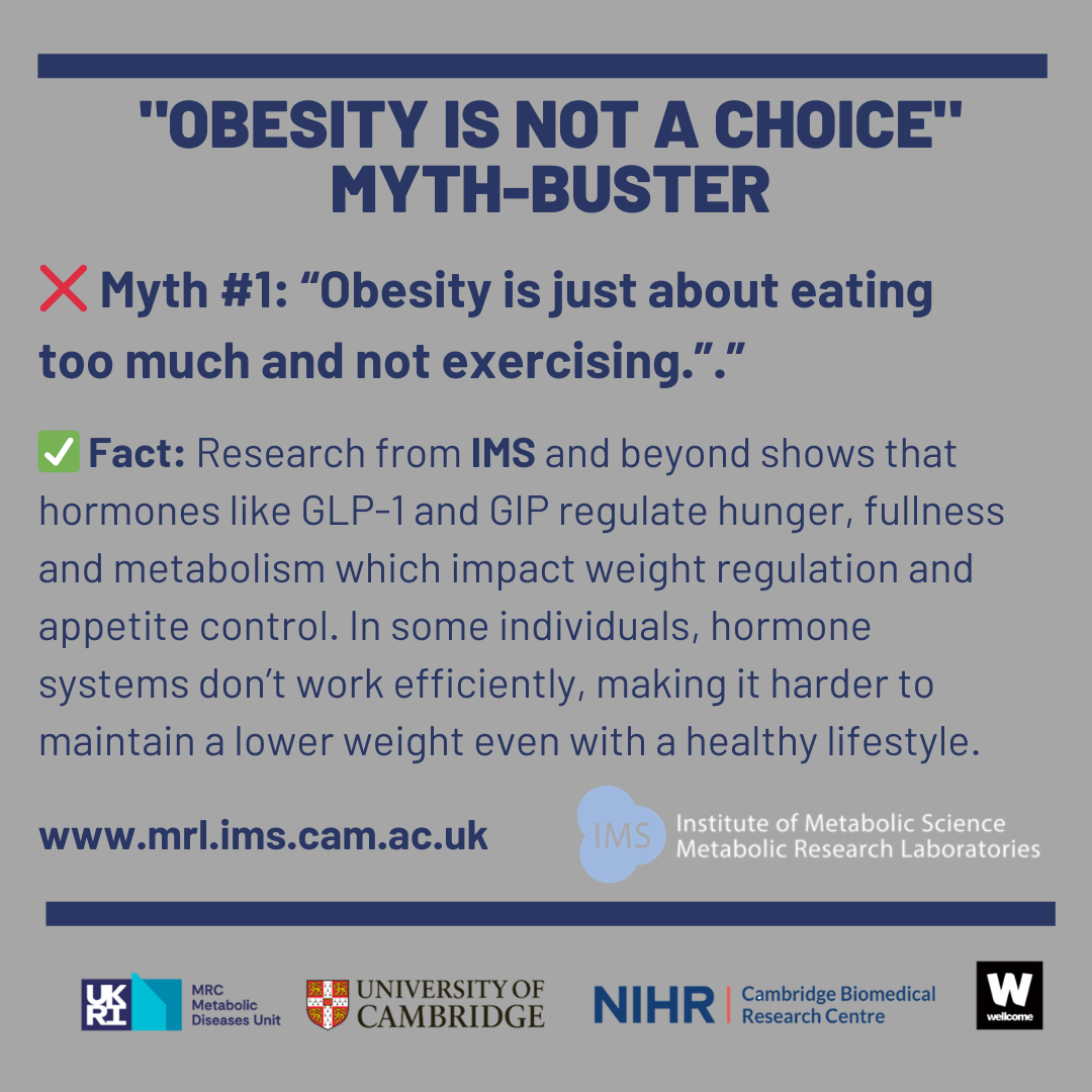 obesity myth one image