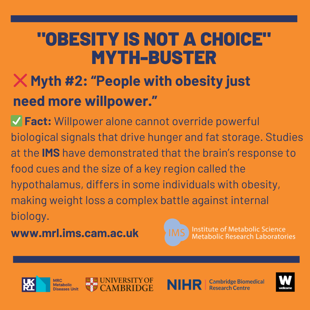 obesity myth two image