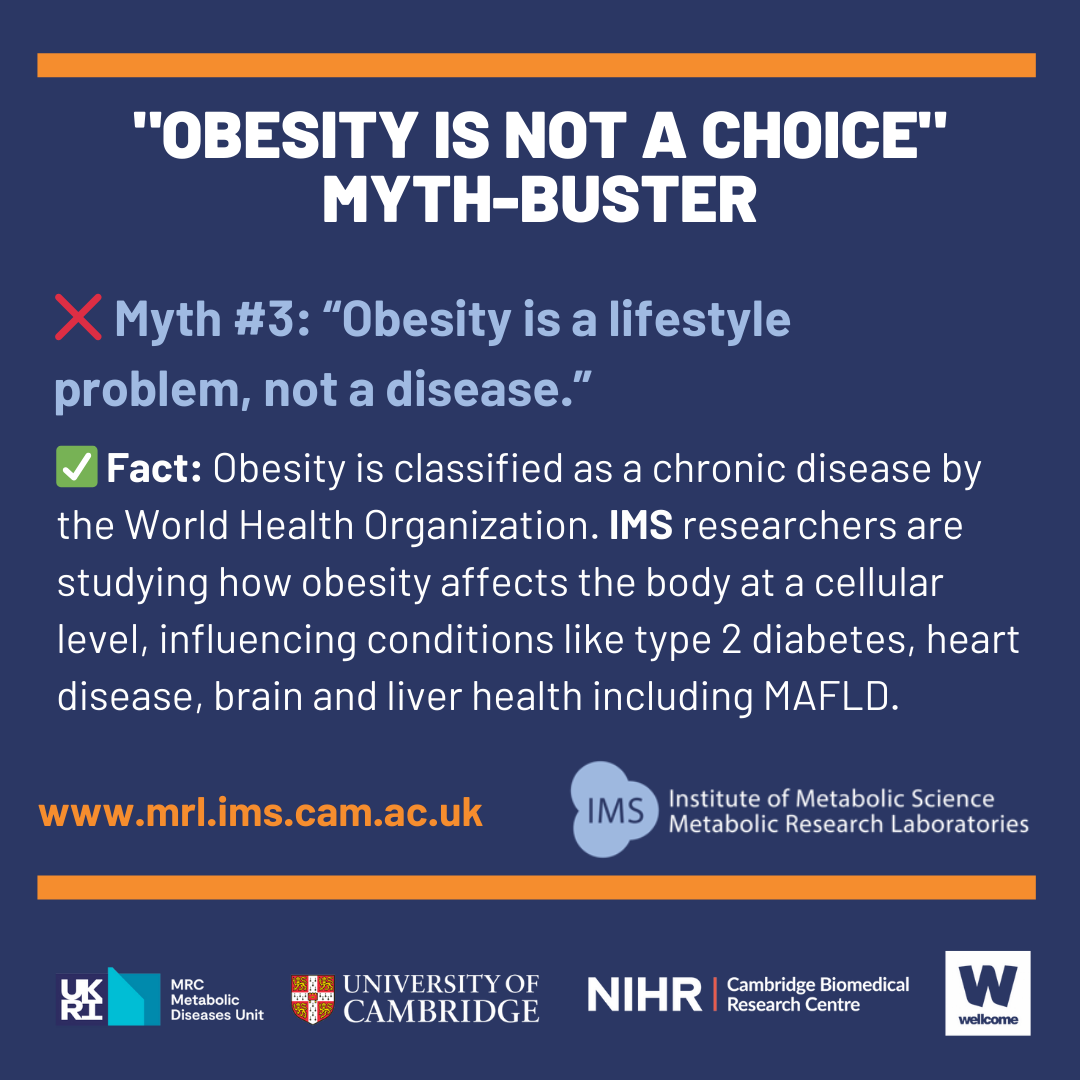 obesity myth three image