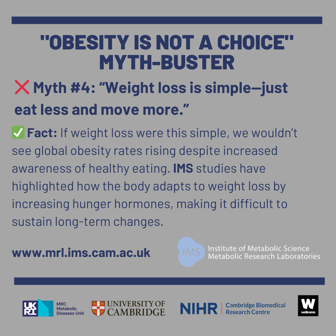 obesity myth four image