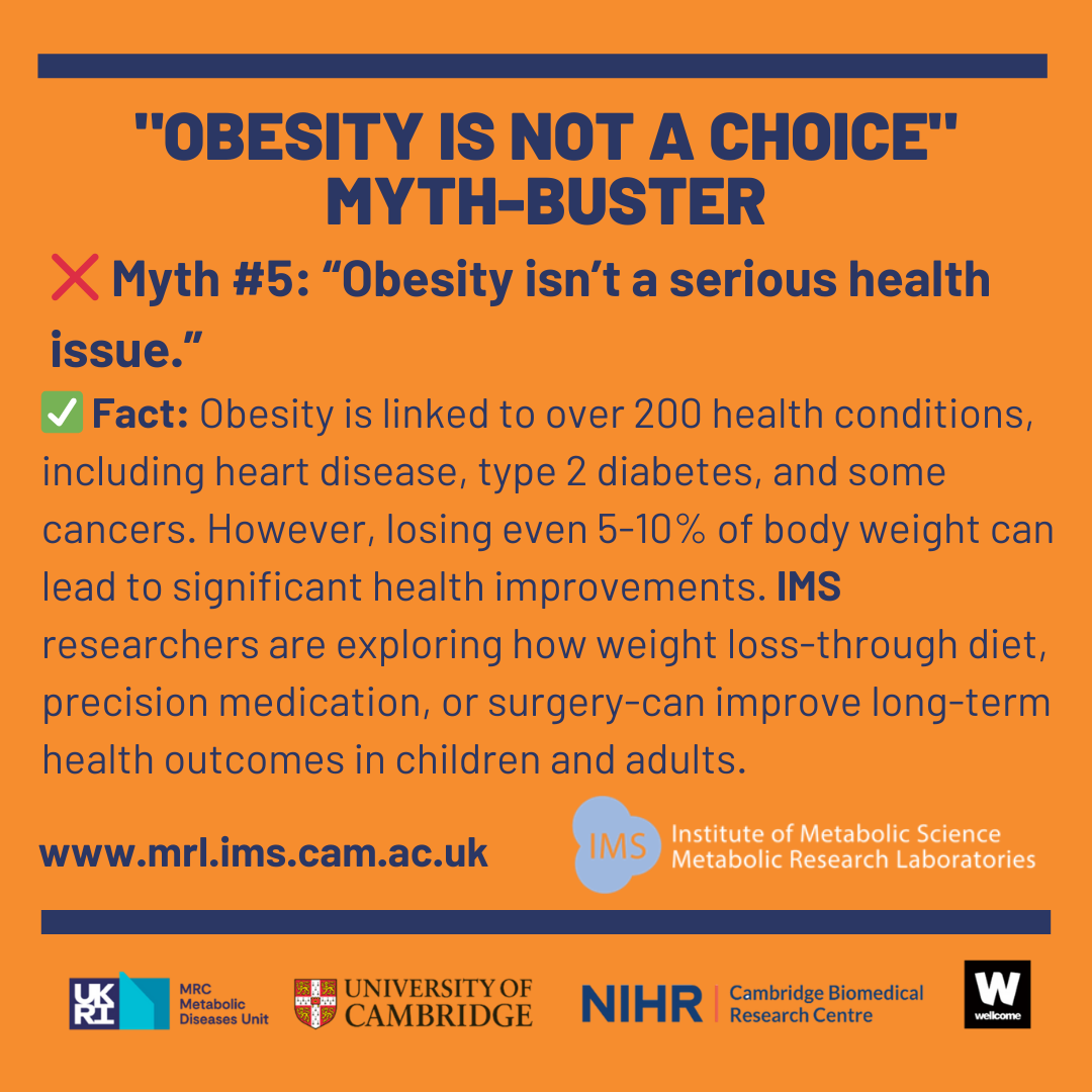 obesity myth five image