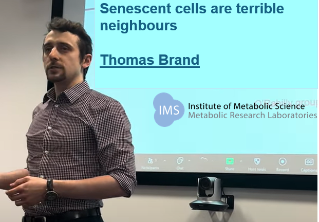 screen shot from Thomas Brand talk